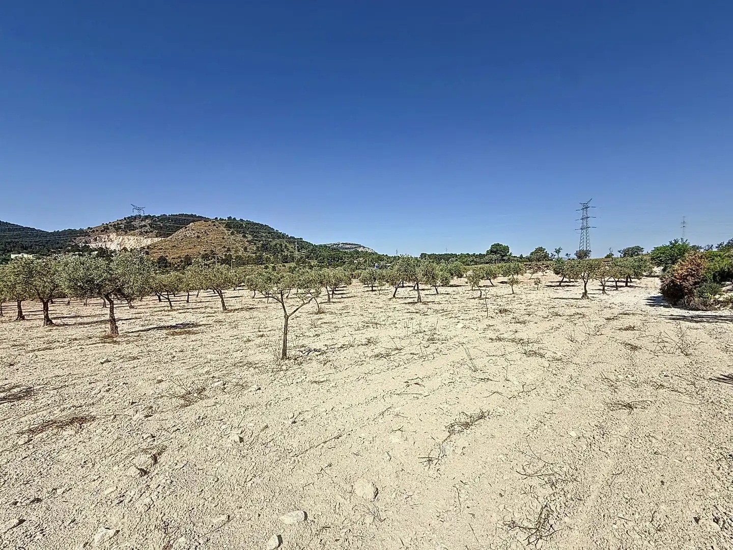 Terreno en venta en Biar