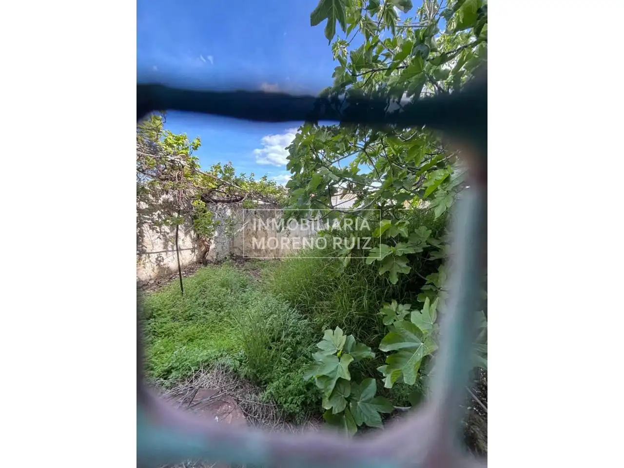 Maison à vendre à Luque, imagen 10