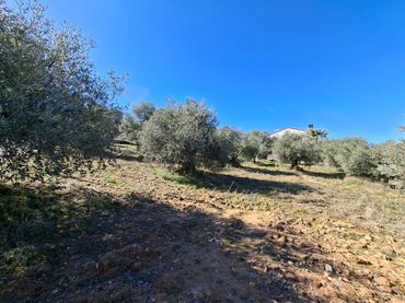 Terrenos y solares en venta en Calle Río Tajuña 1676
