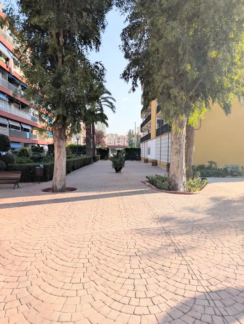 Apartamento con piscina en venta en CONSTITUCIO DE LA, imagen 19