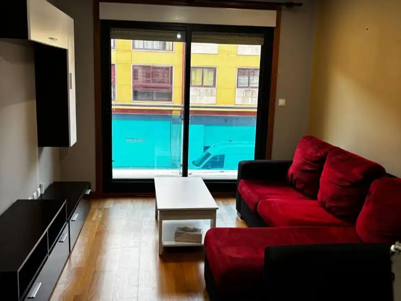 Living room of Flat for rent in Pontevedra Capital   with Terrace and Balcony