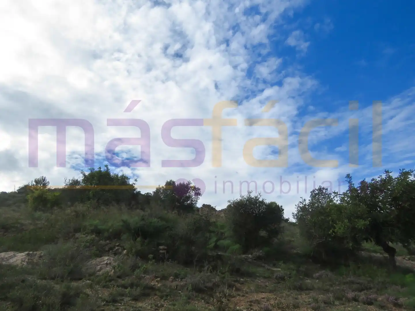 Finca rústica en venta en los Jarales, Perín