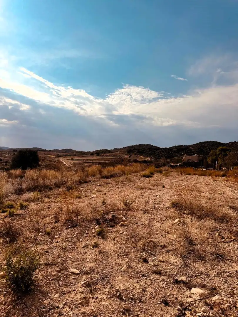 Terrain rustique à vendre à Campo de Murcia, imagen 16