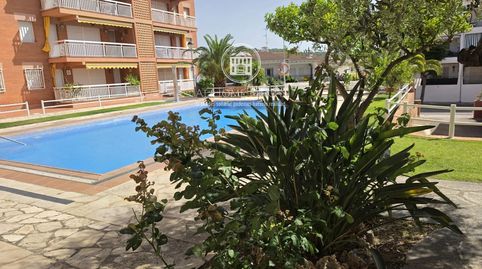 A 50 metros del mar reformado, con terraza y piscina en Roda de Berà, imagen 2