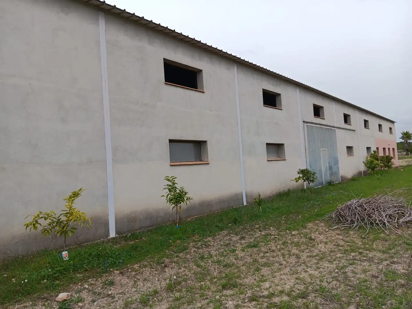 Vista exterior de Nave industrial en venta en Ginestar