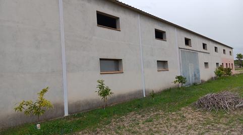 Foto 3 von Fabrikhallen zum Verkauf in Ginestar, Tarragona