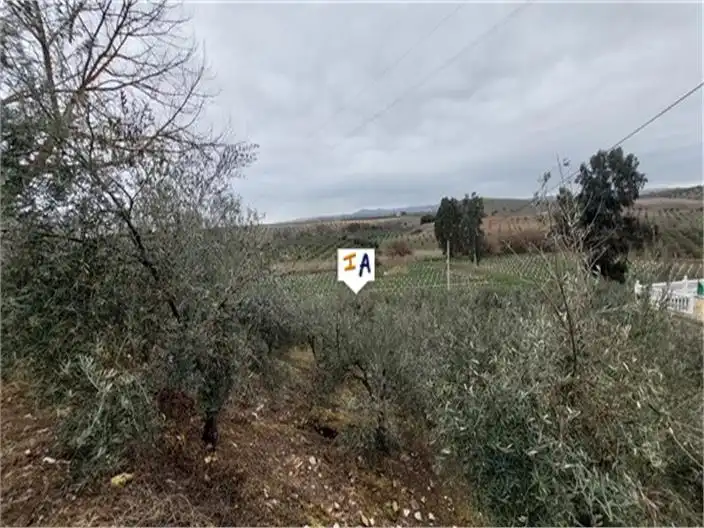 Finca rústica en venda a Cabra