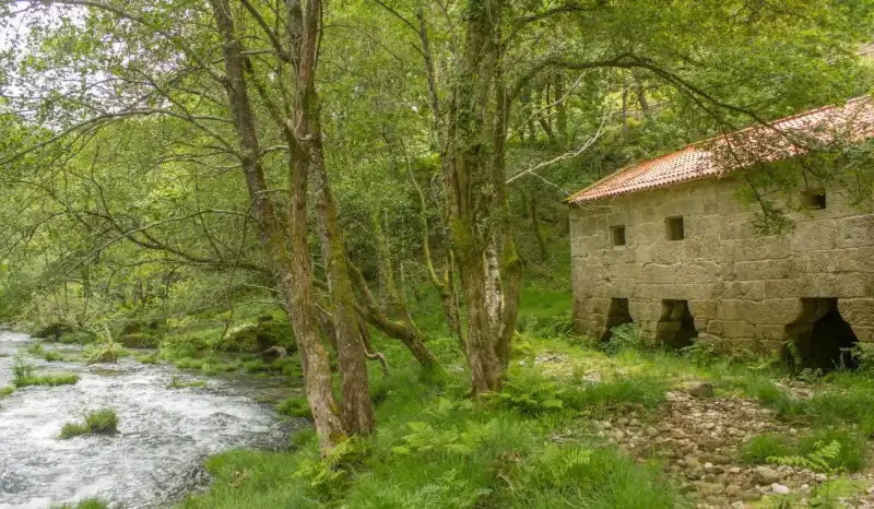 Landhaus mit Terrasse zum Verkauf in Covelo, imagen 40