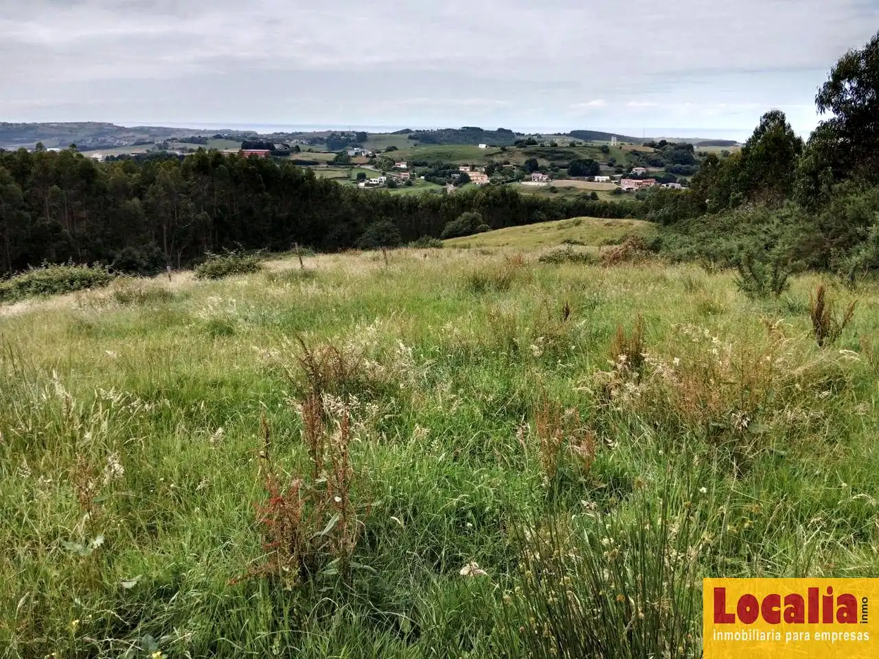 Rural land for sale in Oruña, imagen 4