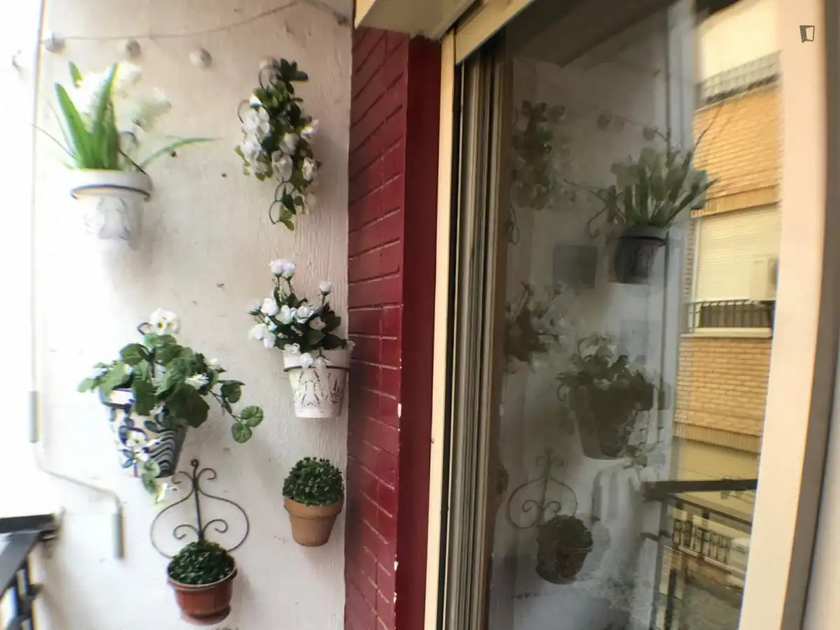 Habitación en Angustias - Chana - Encina