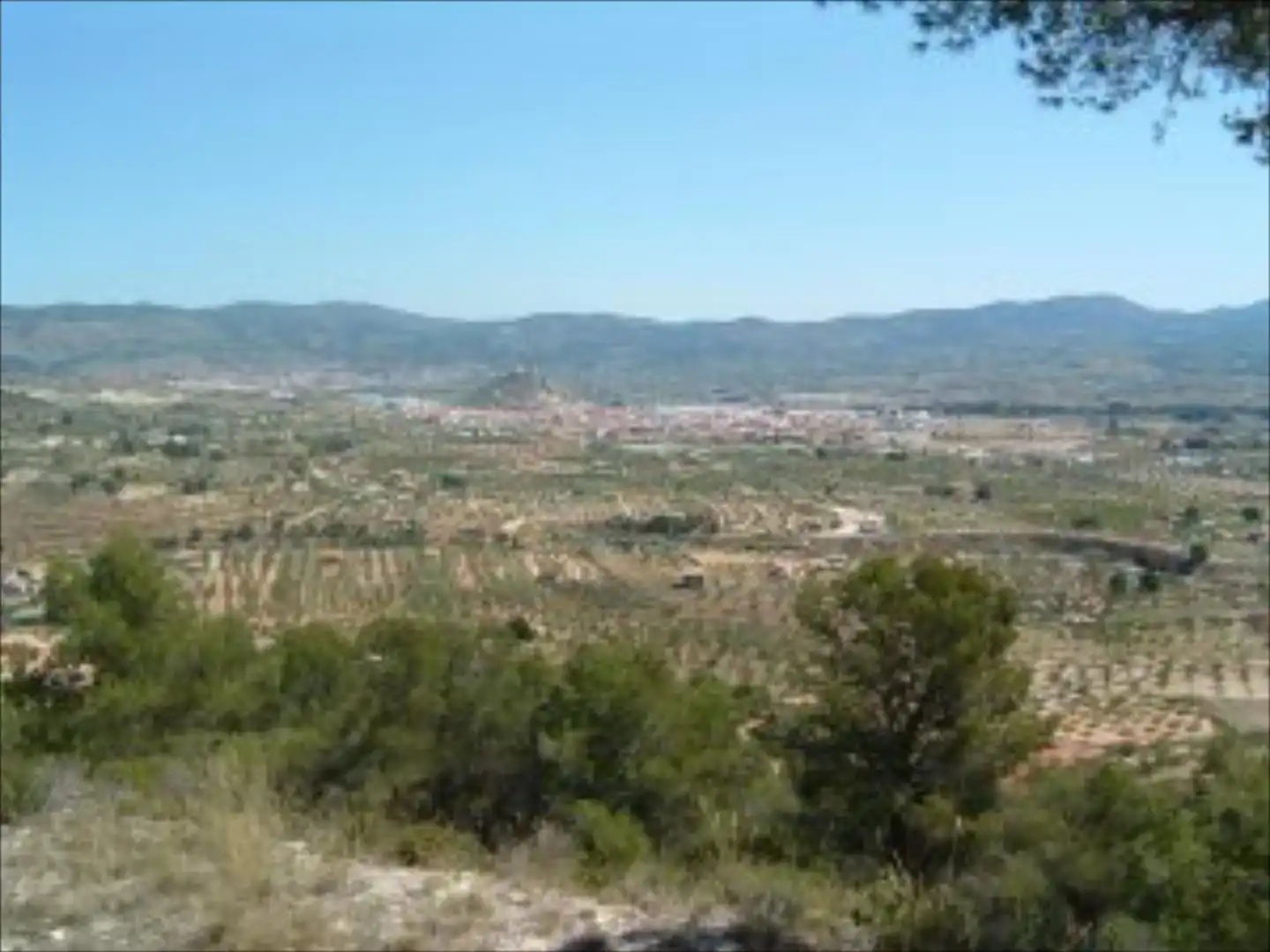 Terreno rustico in vendita a Castalla, imagen 5