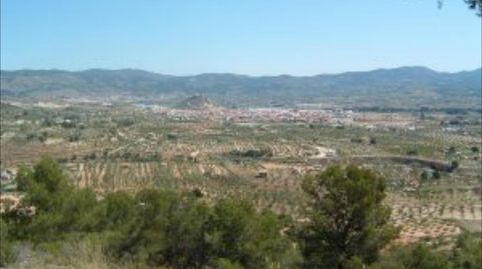 Alicante. A 35 Km de la ciudad. Finca rustica  en monte con coto de Caza, con casa solariega., immagine 5