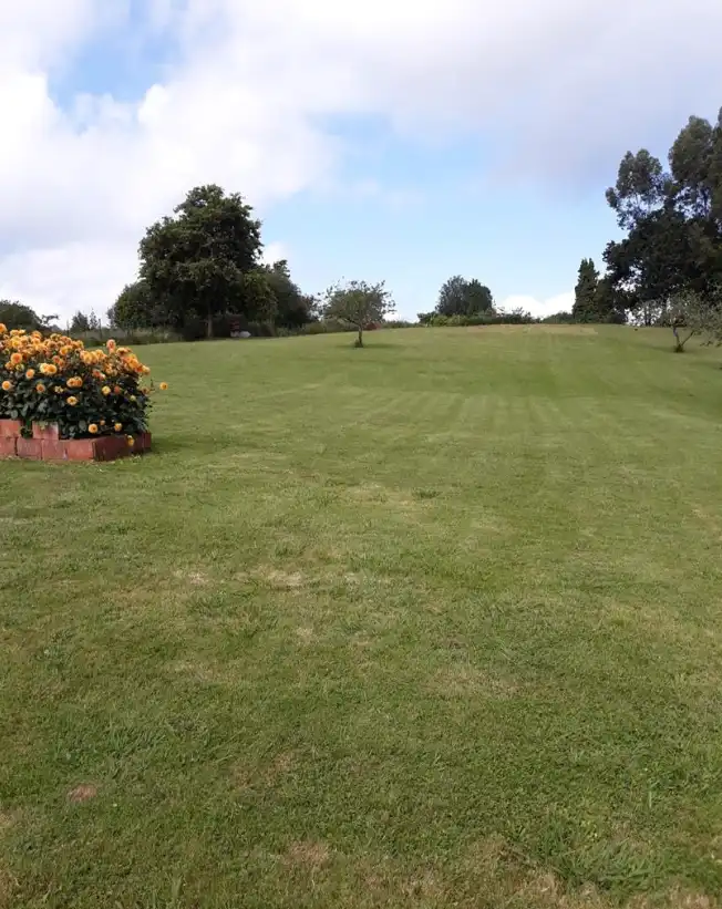 Terreny residencial en venda a Colunga, imagen 4