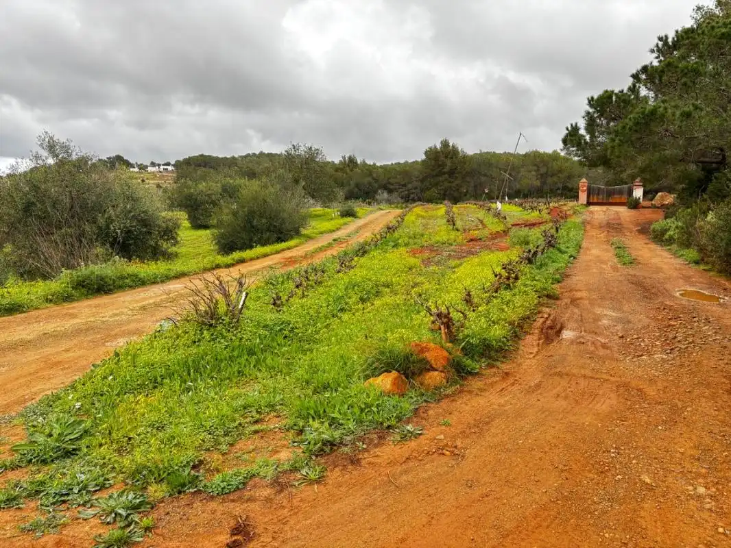 Land for sale in Sant Joan de Labritja