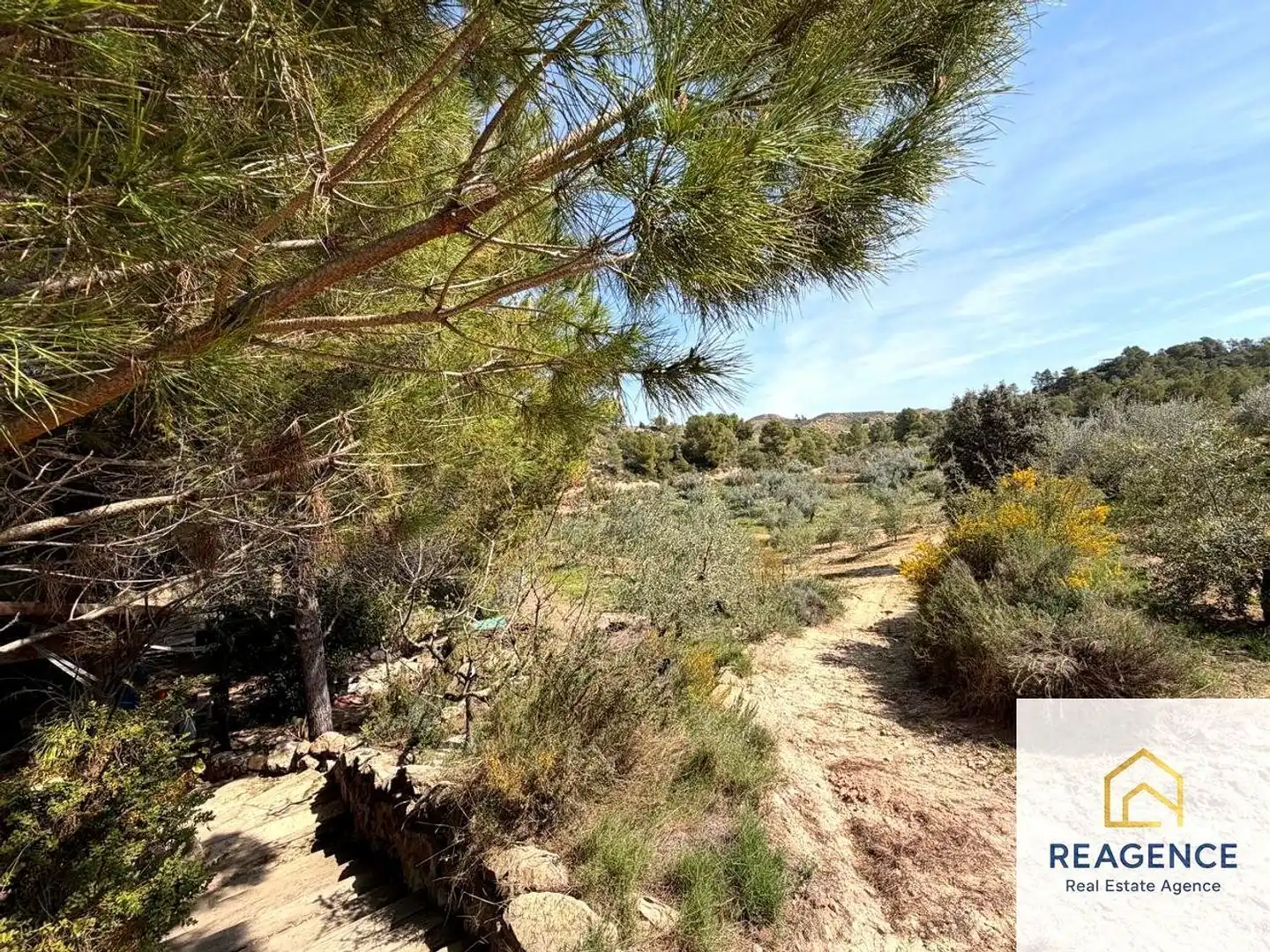 Country homes for sale in Flix, Tarragona