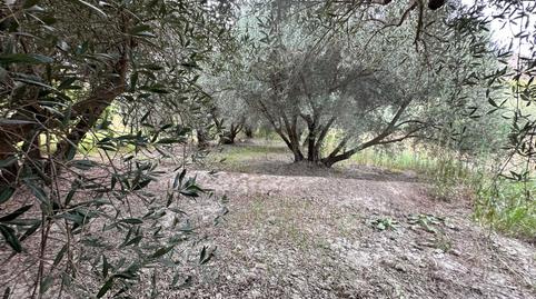 Foto 2 de Terreno en venta en Avenida de la Paz, Rágol, Almería