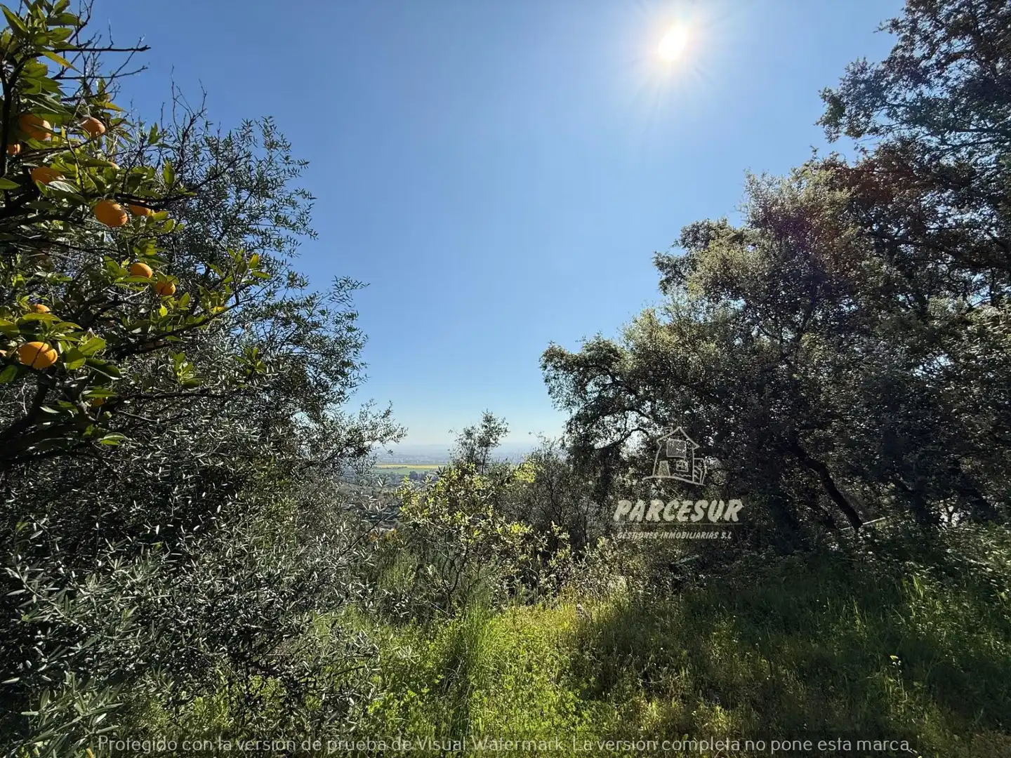 Finca rústica en venda en Córdoba amb Jardí privat i Traster
