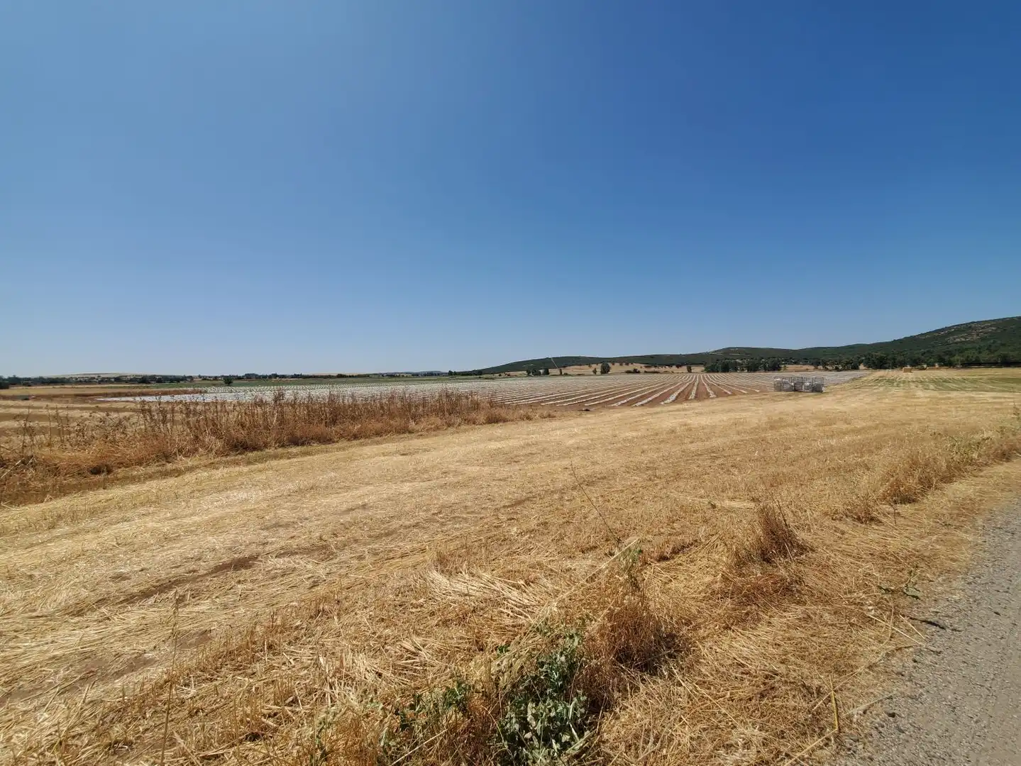 Finca rústica en venta en Nuevo Hospital