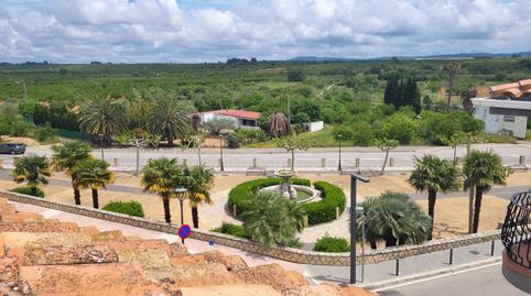Foto 2 de Finca rústica en venda a Carrer  Constitucio, Vall d'Alba, Castellón