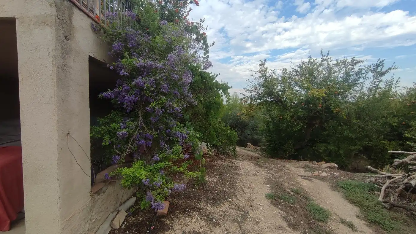 Jardí de Finca rústica en venda en Valls amb Calefacció, Jardí privat i Terrassa