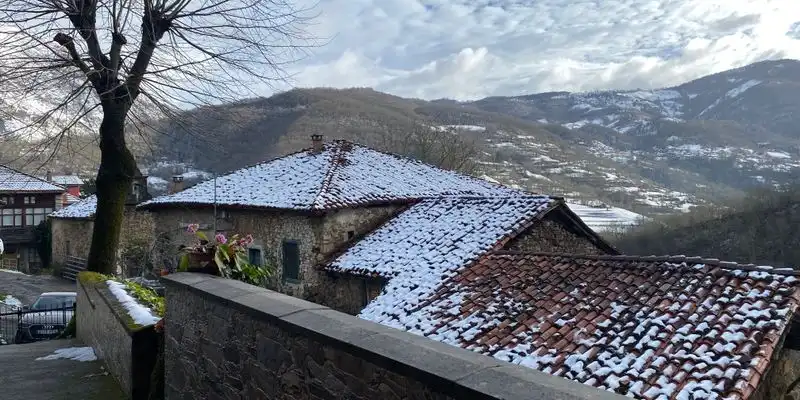 Exterior view of Houses for sale in Ponga  with Private garden, Terrace and Storage room