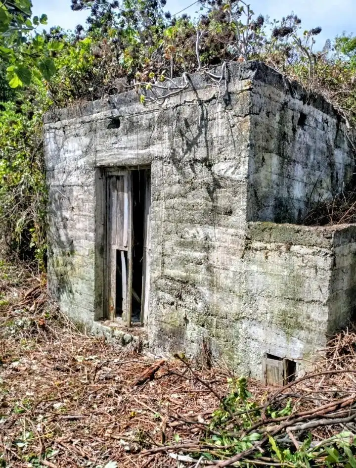 Rural land for sale in La Vega - El Amparo - Cueva del Viento