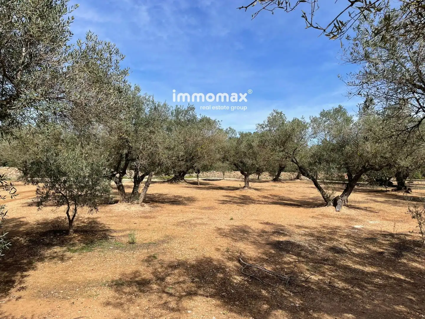 Residential land for sale in 10, imagen 11