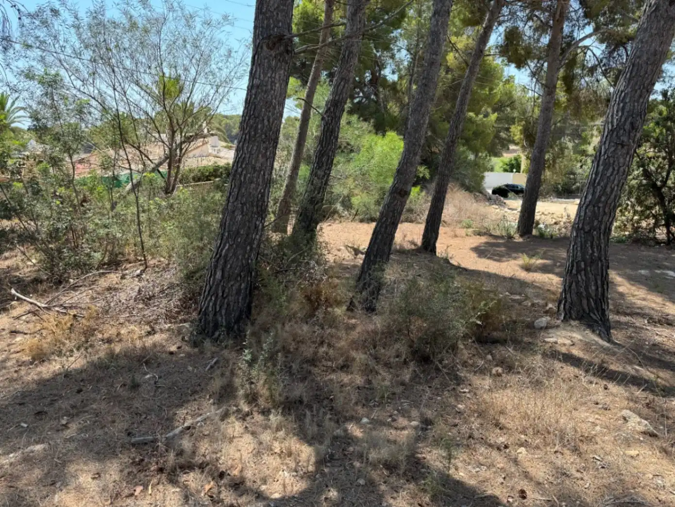 Terreny residencial en venda a Pinar del Advocat - Cometa, imagen 8