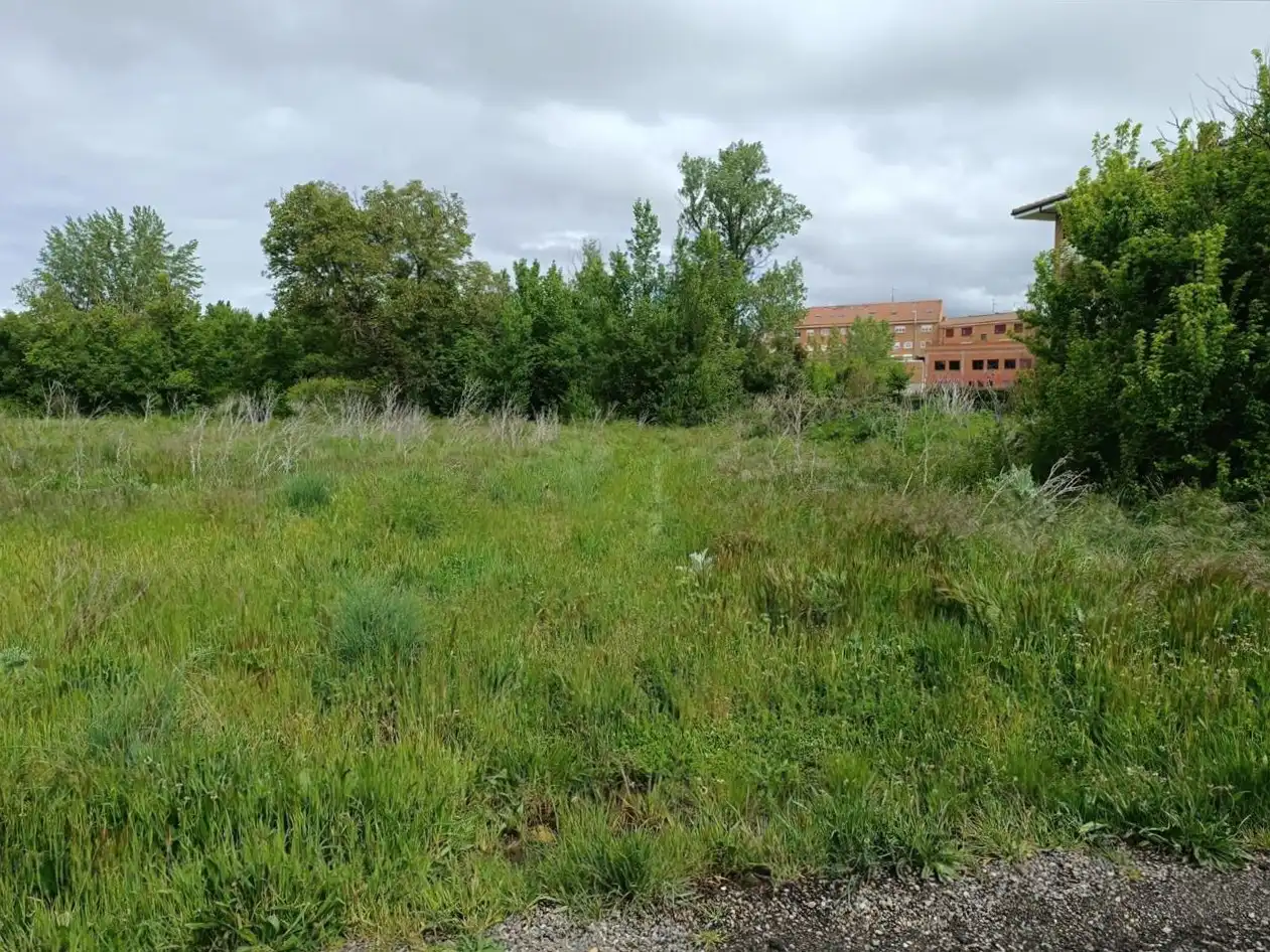 Terreni e lotti in vendita a Zorrilla, imagen 7