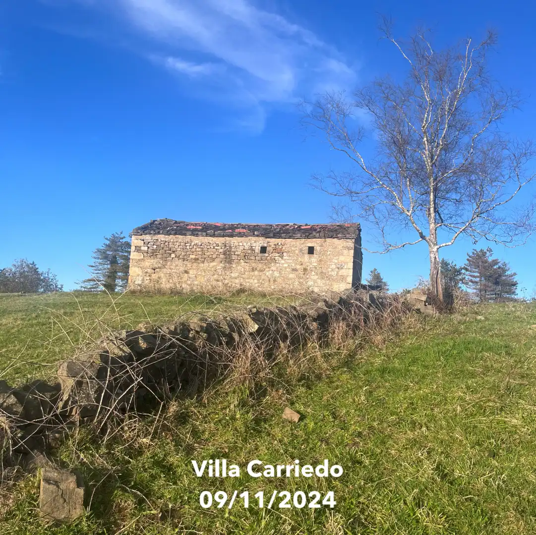 Vista exterior de Finca rústica en venta en Villacarriedo con Jardín privado