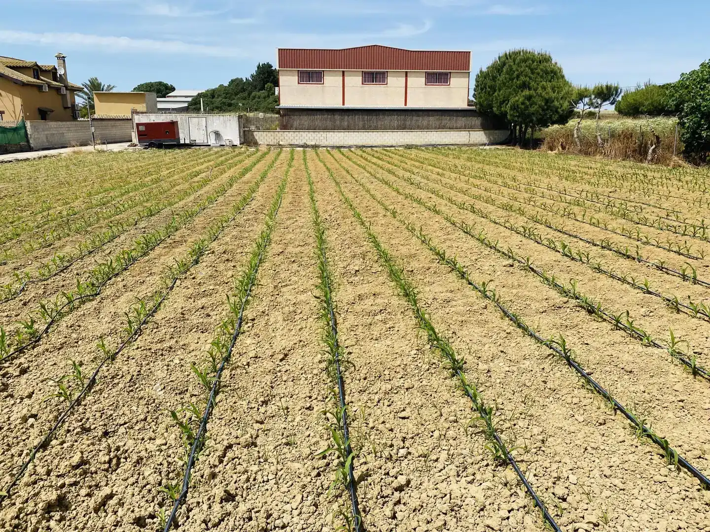 Finca rústica en venda en Ctra Jerez - Ctra del Puerto
