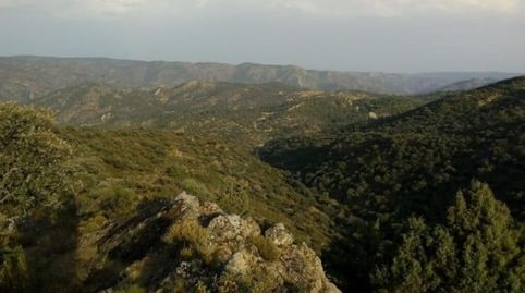 Foto 4 de Residencial en venta en Cerro Barbero, Cardeña, Córdoba