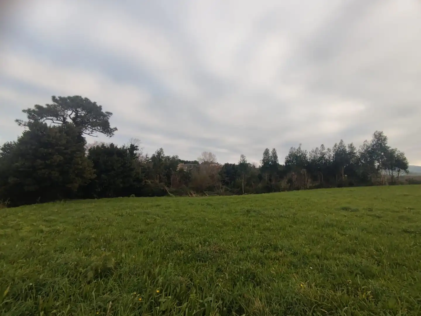 Grundstücke und Bauplätze zum Verkauf in Polígono 4 Parcela 520 CP LA MARINA TAPIA DE CAS, imagen 8