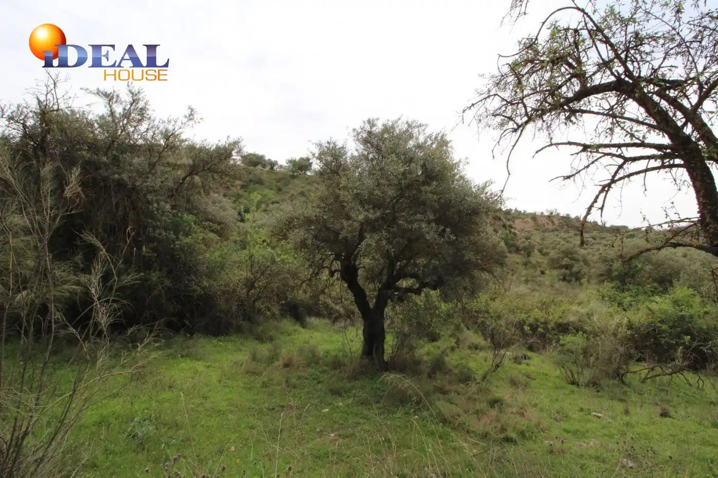 Country homes for sale in Víznar