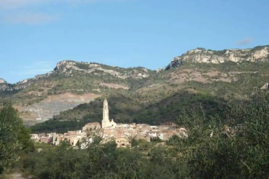 Terreni e lotti in vendita a Riudecols, imagen 4