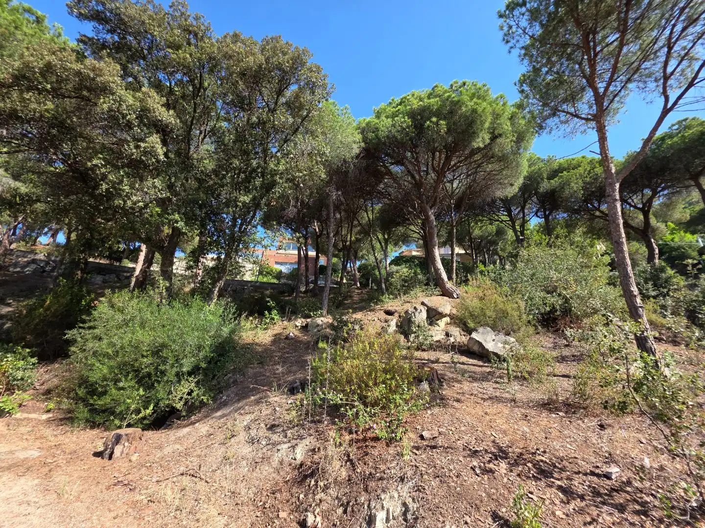 Maison avec piscine à vendre à Camí de Muntanya 51, imagen 40
