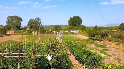 Photo 4 of Residential for sale in Mas Florit - Ca la Guidó, Girona