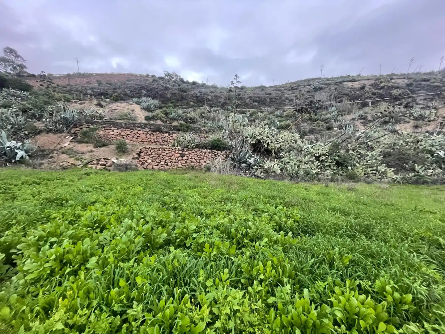 Terreno en venta en Valsequillo de Gran Canaria