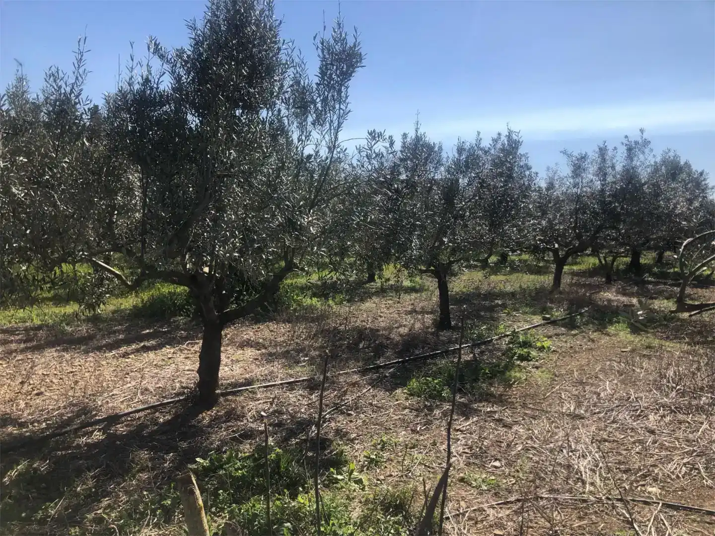 Finca rústica en venda en Olite / Erriberri
