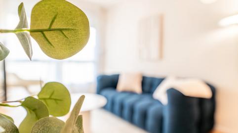 Foto 3 de Apartament de lloguer a Calle del Pintor Ignacio de Zuloaga, 16, Sanchinarro, Madrid