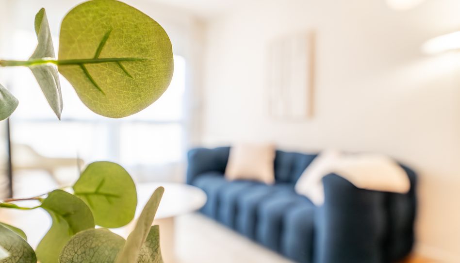 Apartamento de alquiler en Calle del Pintor Ignacio de Zuloaga, 16, Sanchinarro - Imagen 3