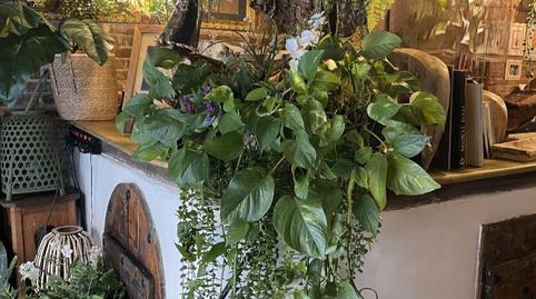 Photo 5 of Premises for transfer in Carrer de Bassegoda, 17, Sants-Badal,  Barcelona Capital