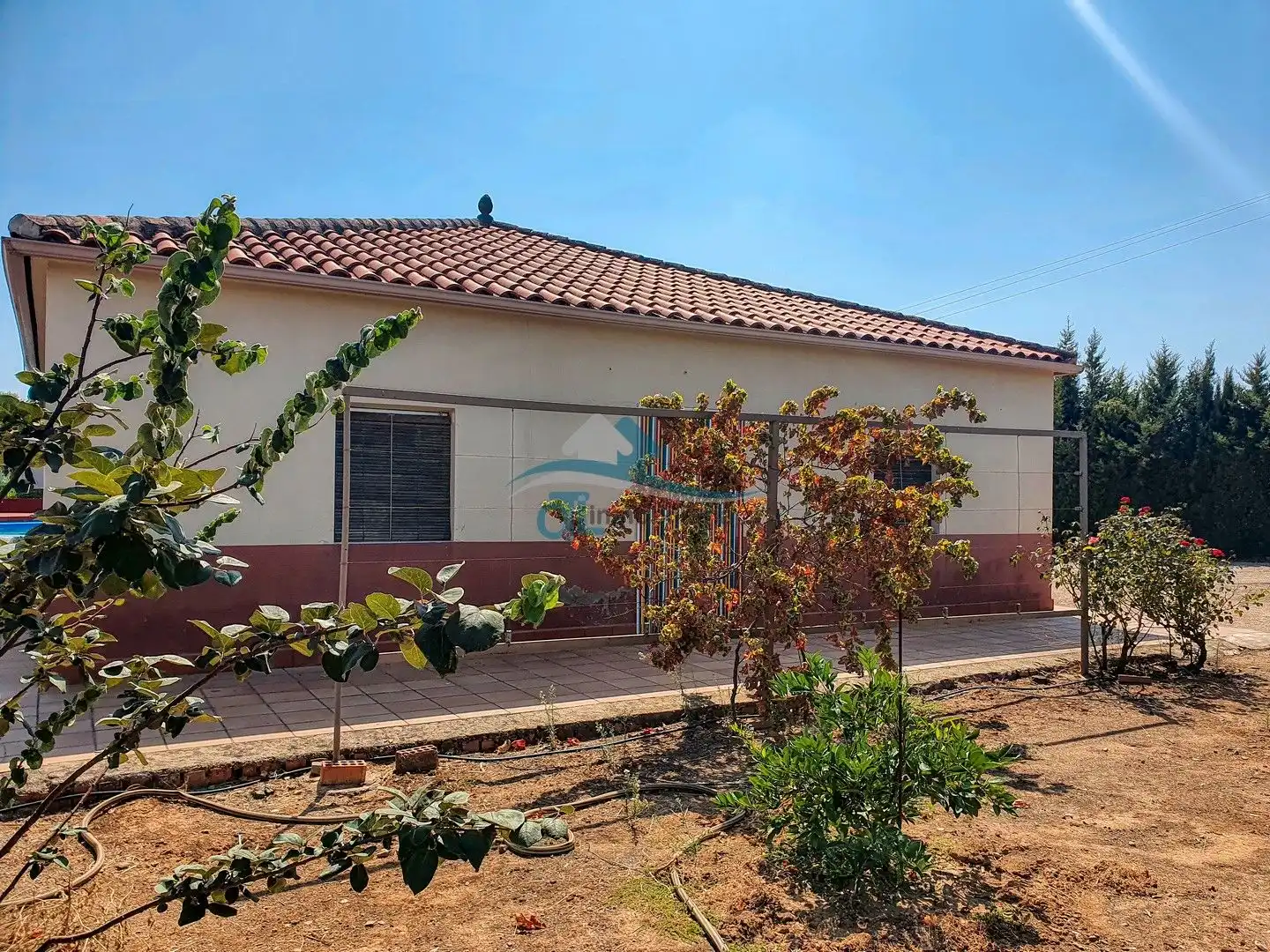 Vista exterior de Casa o xalet en venda en Linares amb Jardí privat i Piscina