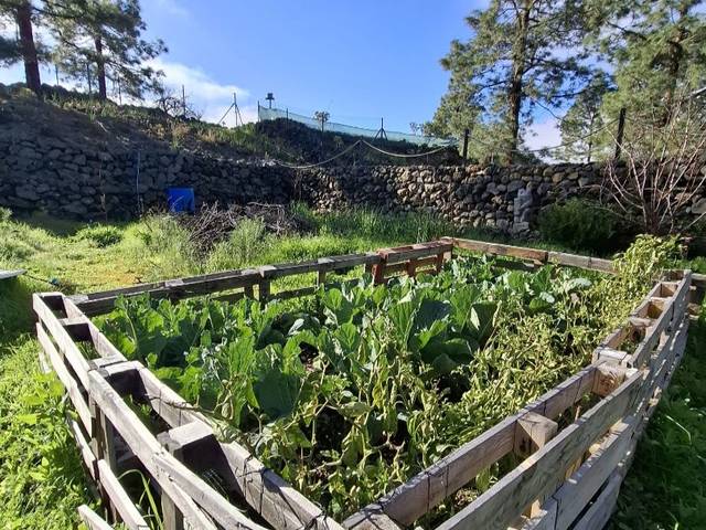 Terreno en Venta en Carretera Local C 820 Chio, 161 en Chío
