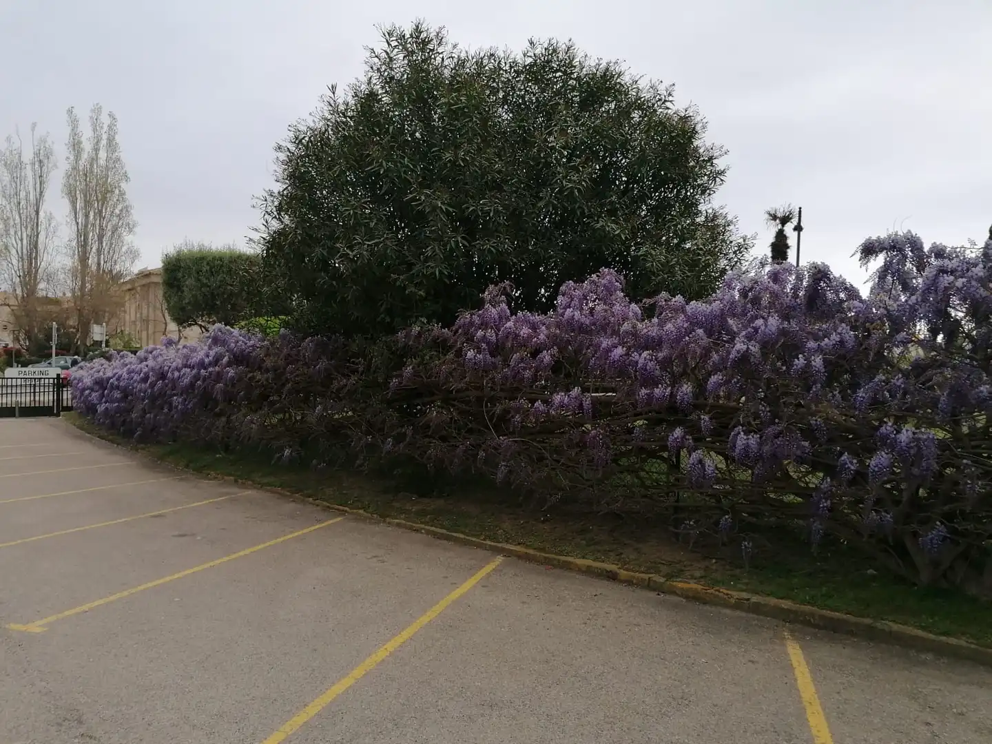 Aparcament de Pis en venda en Sant Feliu de Guíxols amb Jardí privat
