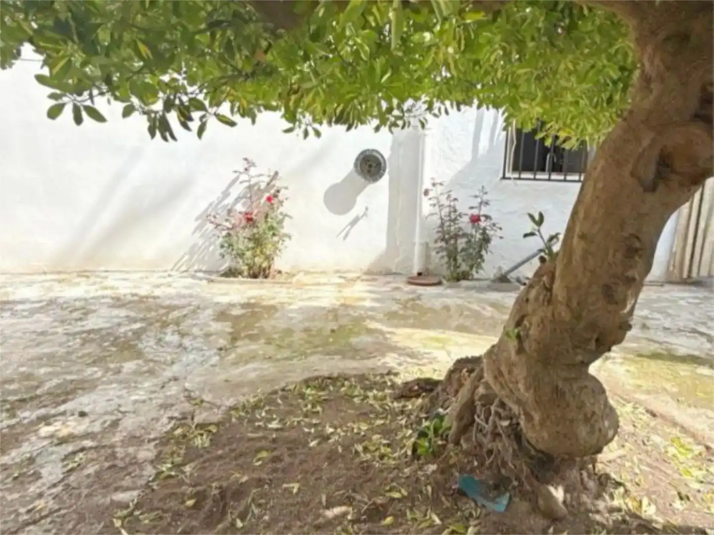 Jardí de Pis en venda en Mollina
