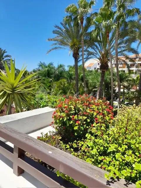 Studio avec ascenseur à vendre à Playa de las Américas, imagen 4
