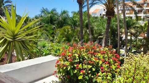 Photo 4 of Study for sale in Playa de las Américas, Arona