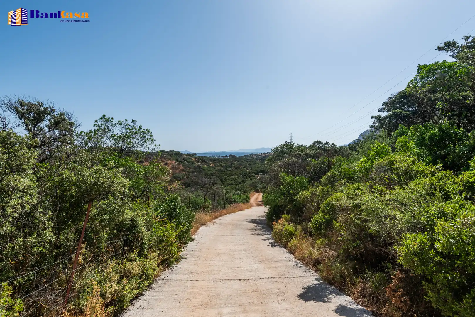 Vista exterior de Finca rústica en venta en Antequera con Jardín privado, Piscina y Amueblado