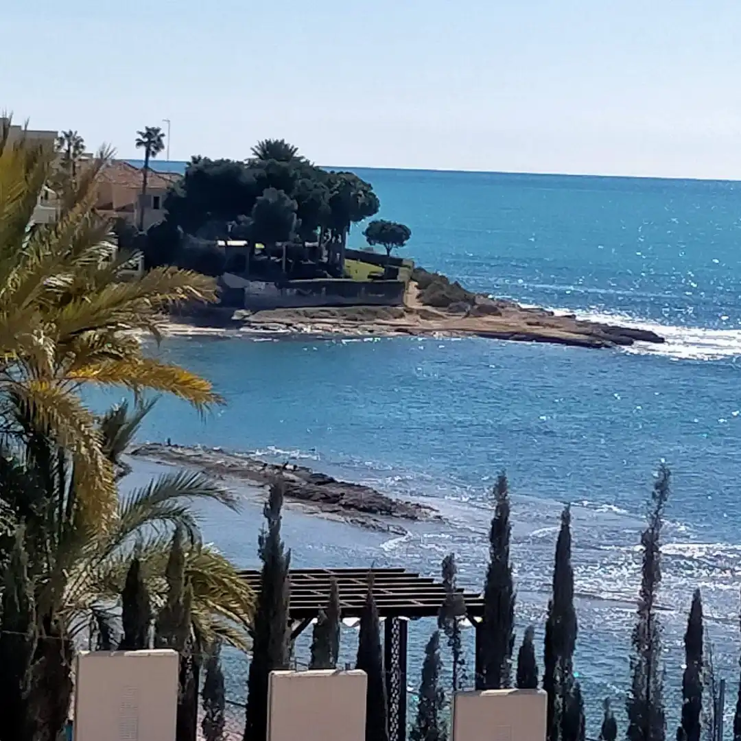 Villa mit Terrasse zum Verkauf in Playa de San Juan - El Cabo de las Huertas, imagen 100